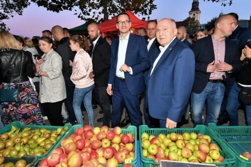 mateusz morawiecki, ministerstwo rozwoju, rząd pis