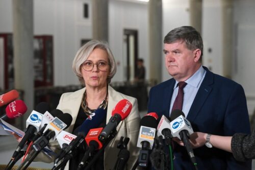 polityka, PiS, PO, wybory, pieniądze, krowa plus