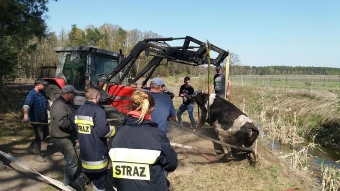 pożar gospodarstwa, świętokrzyskie, Kolonia Grzybów, straż pożarna, gowin, pomorze