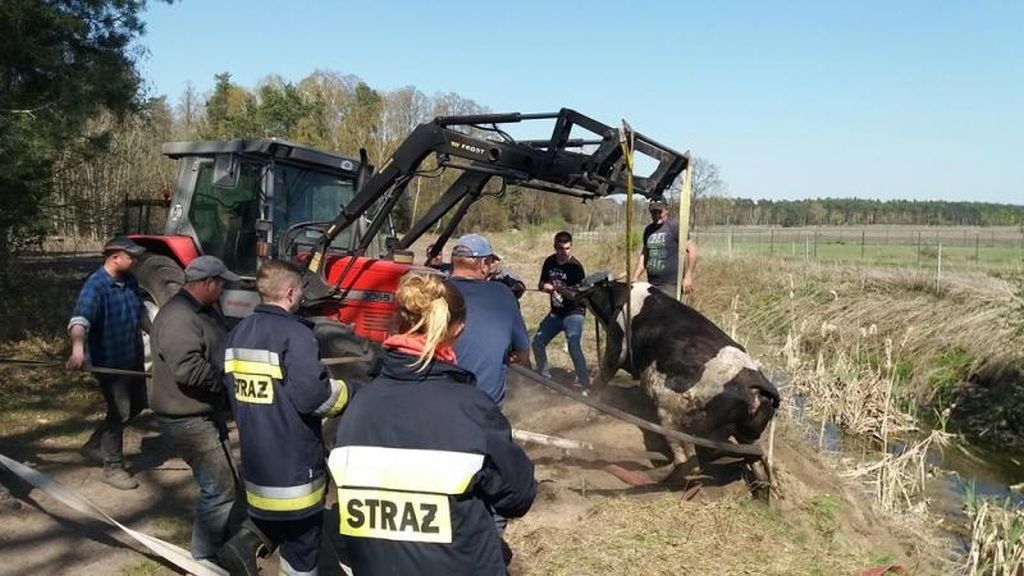pożary w gospodarstwach, zbiersk, drzewce, opalenica, powiat słupecki, powiat nowotomyski