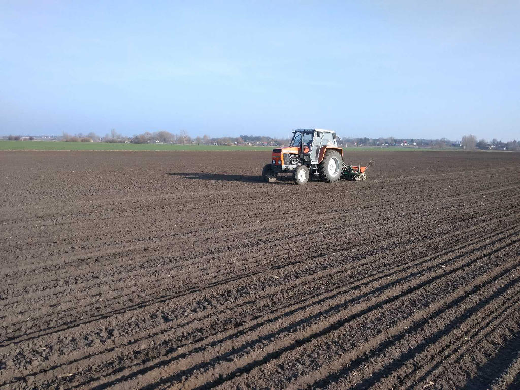 ciągnik, siewnik, pole, siew, Sahryń