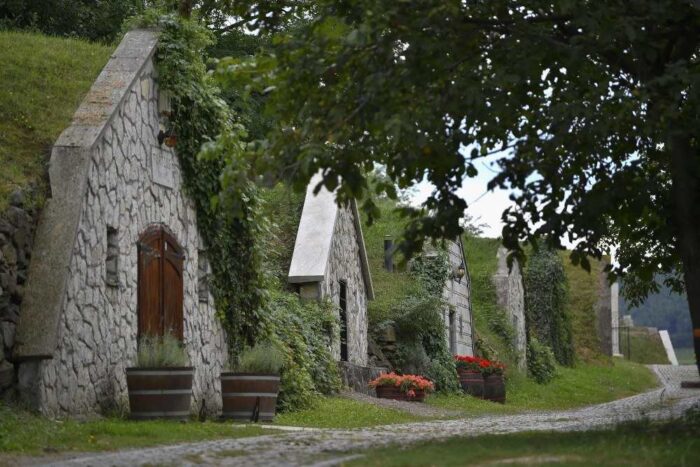 węgry, festiwal wina, tokaj, wino, tarcal