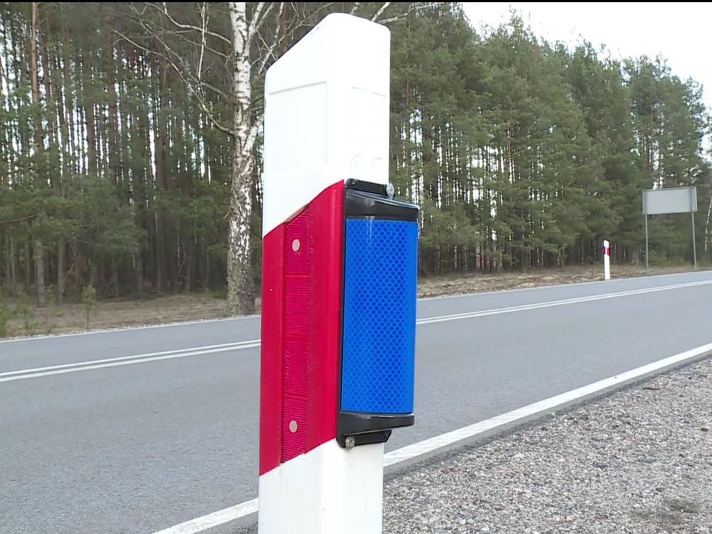 wypadki z udziałem dzikich zwierząt, wilcze oczy przy drodze, Jan Krynicki, gddkia