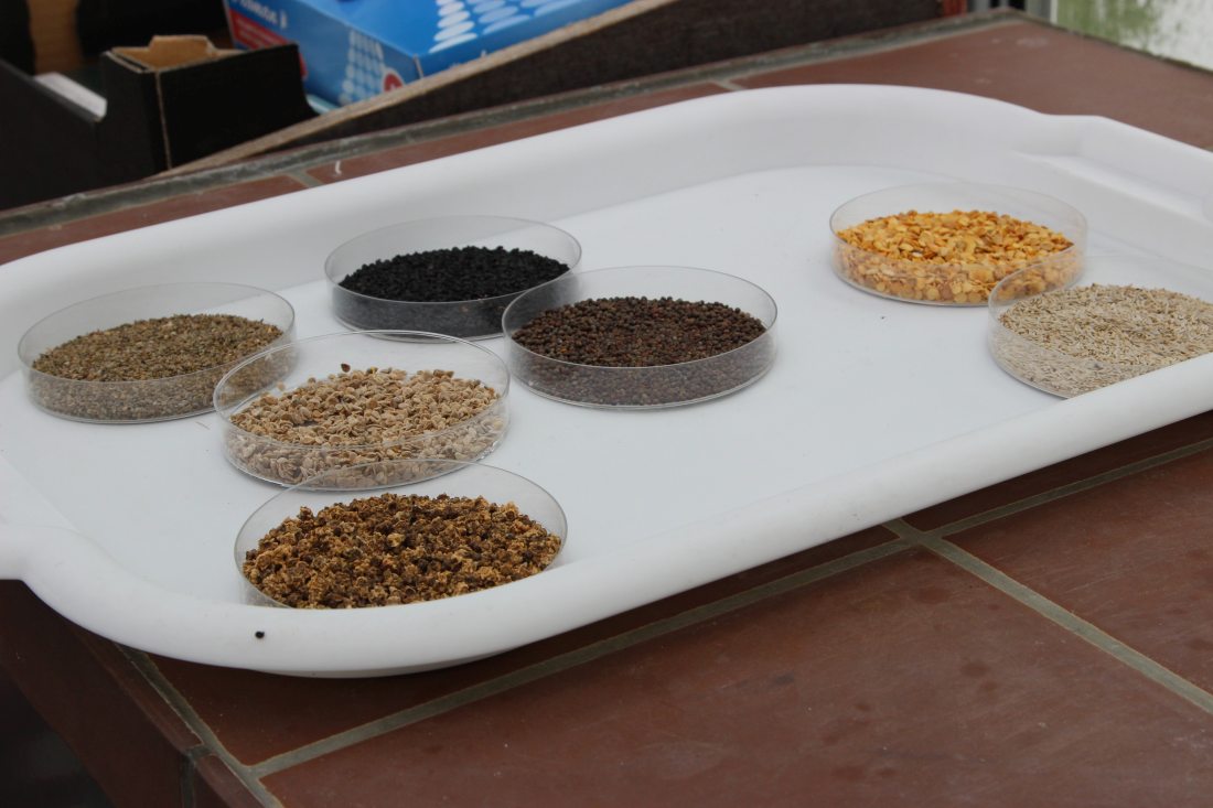 OWiUR, olimpiada, eliminacje, eliminacje okręgowe, OWiUR, XLIII edycja OWiUR, Olsztyn