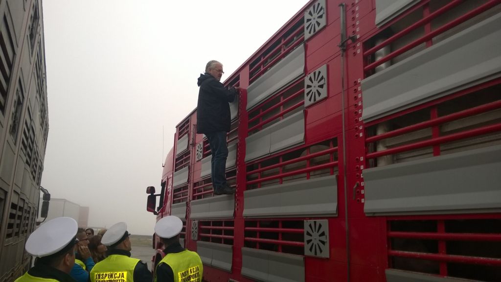 kontrole na granicach, transport zwierzat, transport pasz, piorin, ijhars, paweł niemczuk