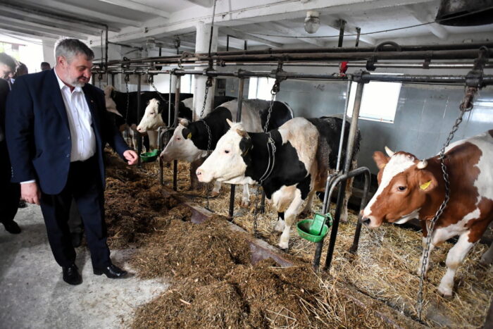 ardanowski, dożynki jasnogórskie, częstochowa