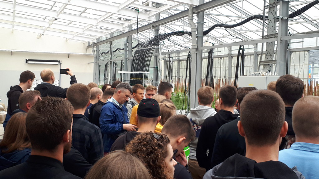 studenci WRiB, szklarnia, IUNG-PIB Puławy
