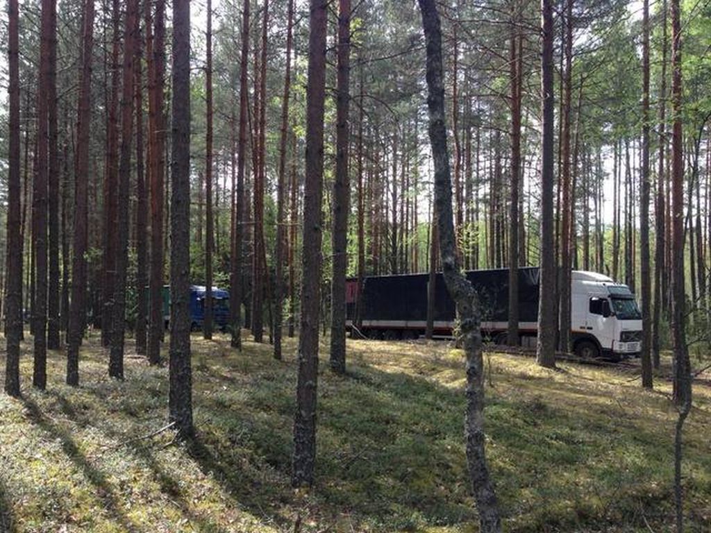 owoce, zbiory owoców, jabłka, Eberhard Makosz, Towarzystwo Rozwoju Sadów Karłowatych