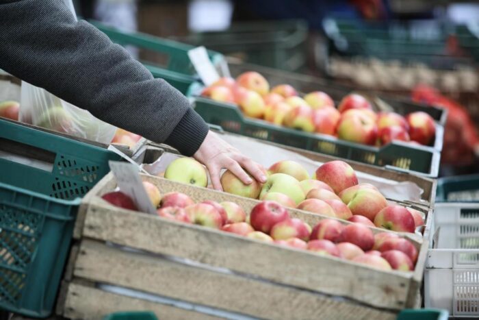 owoce, zbiory owoców, jabłka, Eberhard Makosz, Towarzystwo Rozwoju Sadów Karłowatych