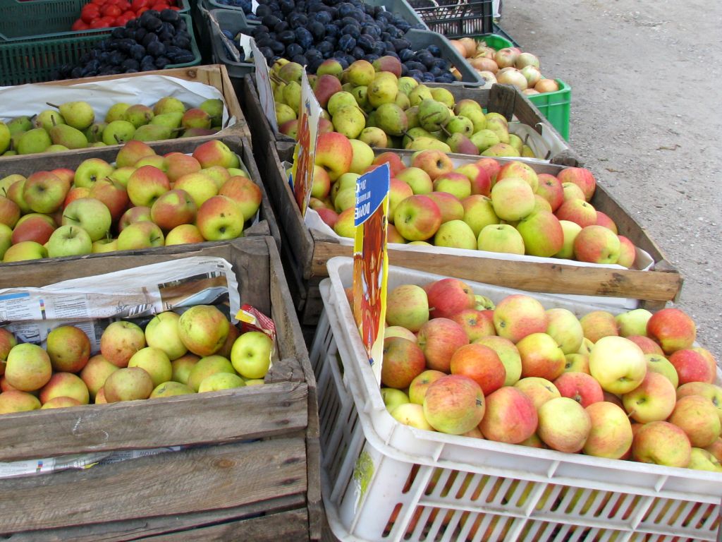 zbiory owoców, ceny owoców, jabłka, Mirosław Maliszewski, Związek Sadowników RP