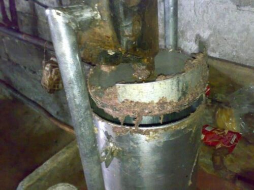 żywność, ministerstwo rolnictwa, Główny Inspektor Ochrony Roślin i Nasiennictwa, ustawa, Sejm