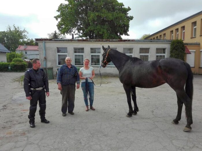 nowy dwór gdański, kmiecin, Karolina Makała, pogoń za koniem, kpp nowy dwór gdański