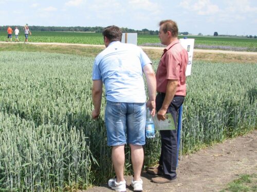 kontrola arimr, kontrola na miejscu, krir, decyzjia obszarowa, obszary proekologiczne