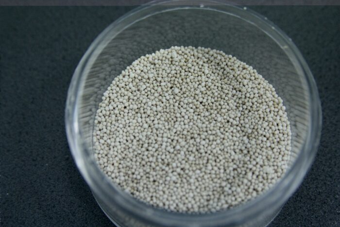 Lallemand Animal Nutrition, TITAN, probiotyczne drożdże, żywienie zwierząt