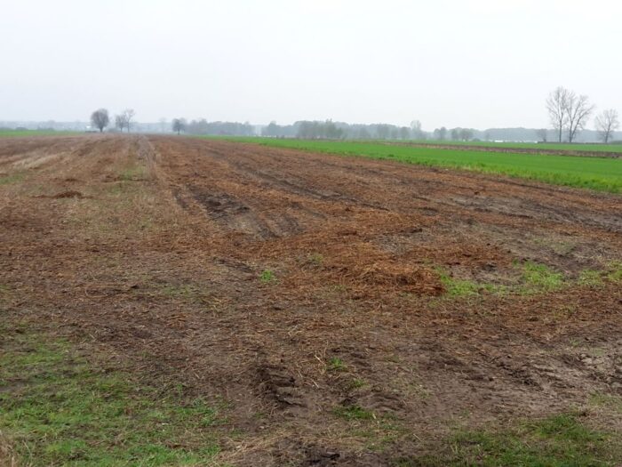 gospdoarstwo, pole, ciąggnik