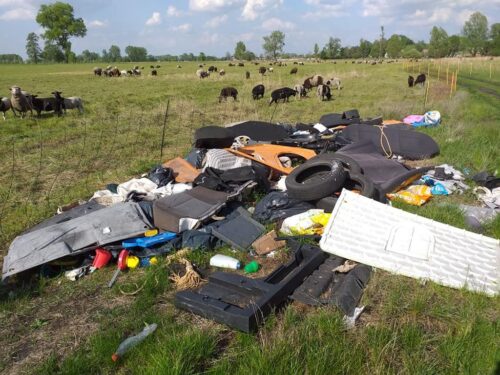 owczogród, hodowla owiec, Płonica, gmina Deszczno, śmieci na łące