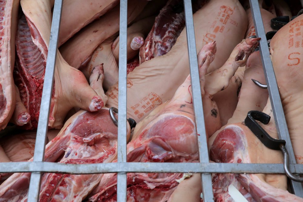 klasyfikacja tusz zwierząt, tusze zwierząt, senat, artykuły rolno-spożywcze