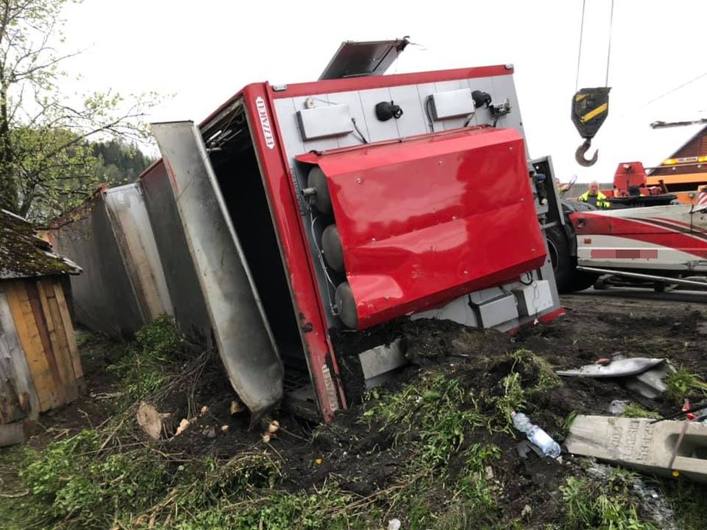 Instytut Ekonomiki Rolnictwa i Gospodarki Żywnościowej, poglowie świń w polsce, trzoda chlewna