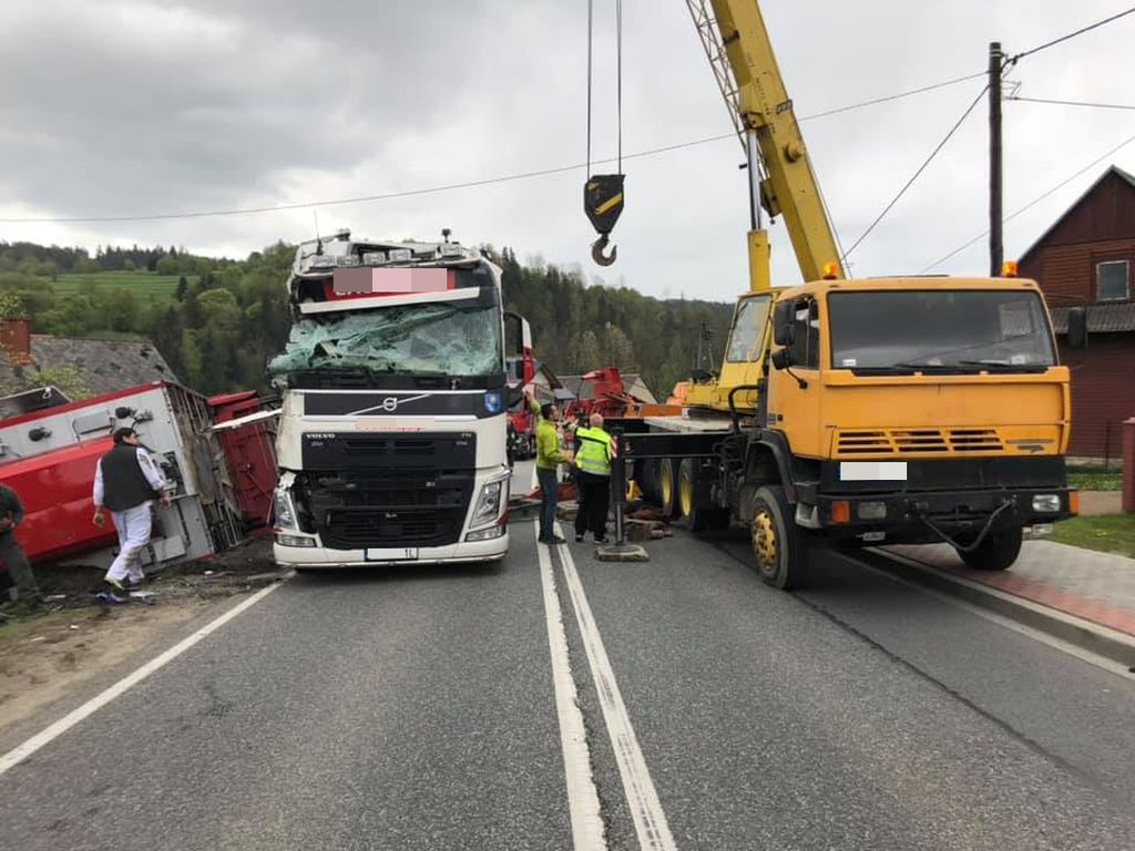 Instytut Ekonomiki Rolnictwa i Gospodarki Żywnościowej, poglowie świń w polsce, trzoda chlewna