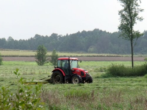 zazielenienia, derogacja, klęska suszy, susza rolnicza, ugory, międzyplony