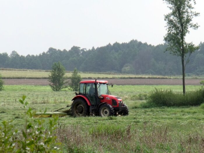 zazielenienia, derogacja, klęska suszy, susza rolnicza, ugory, międzyplony