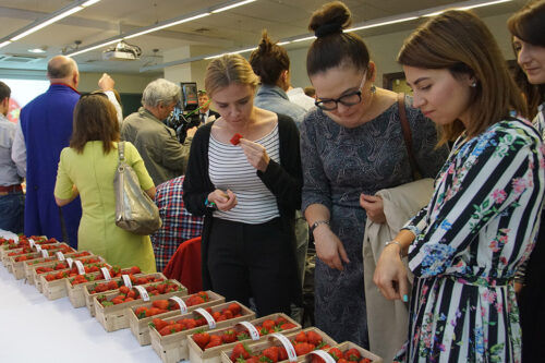 program Owoce-Polska Smakuje, truskawki, Instytut Ogrodnictwa, jarosław pinkas, główny inspektorat sanitarny