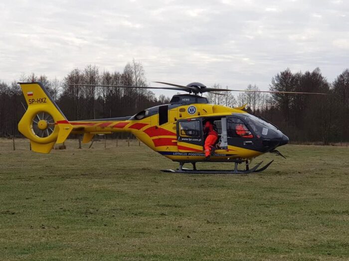 otmuchowo, opolszczyzna, wycinka drzew, zbiórka gałęziówki, Lotnicze Pogotowie Ratunkowe