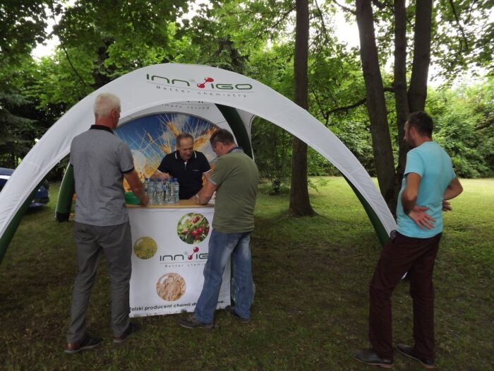 kukurydza, Garzyn, Krajowy Dzień Kukurydzy