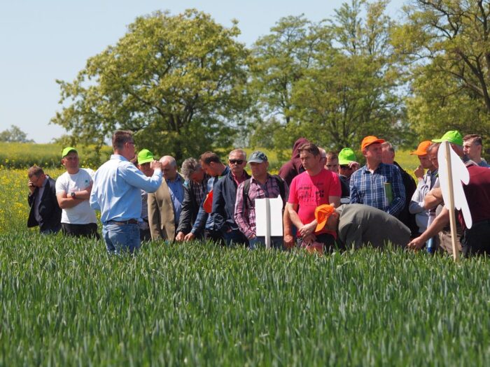 Osadkowski SA, Zielone Pola w Jakubowicach, Odmiany rzepaku ozimego, Elatus Plus, odmiany zbóż ozimych, Chopin F1