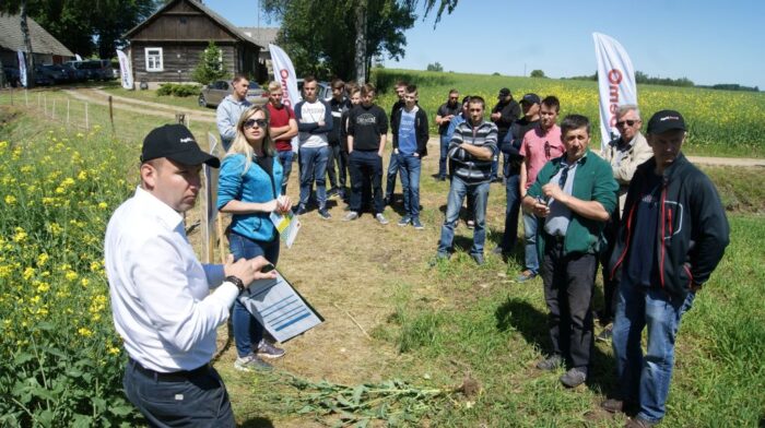technologia uprawy rzepaku ozimego, odmiana Barocco, nawożenie rzepaku ozimego, dr Marek Reich, ochrona rzepaku ozimego,