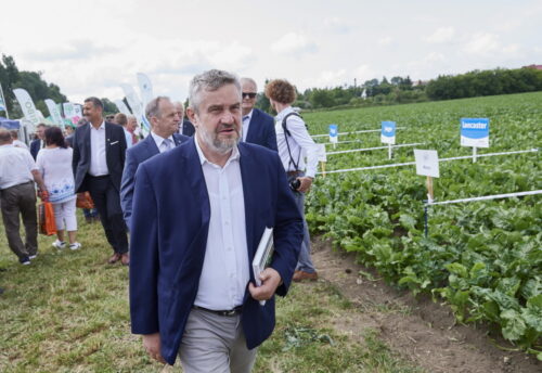 krajowa spółka cukrowa