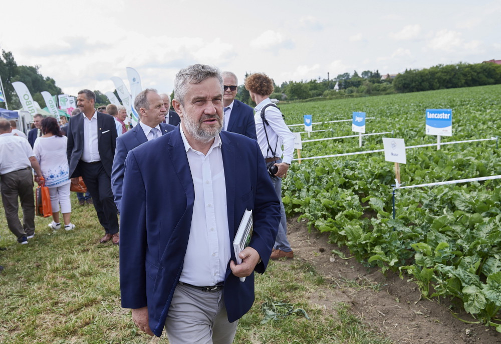 krajowa spółka cukrowa, ksc, stare pole, burak cukrowy, produkcja cukru