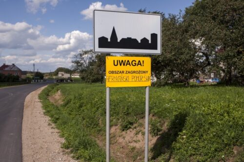 komitet regionów, walka z asf w ue, afrykański pomór świń, Sławomir Sosnowski