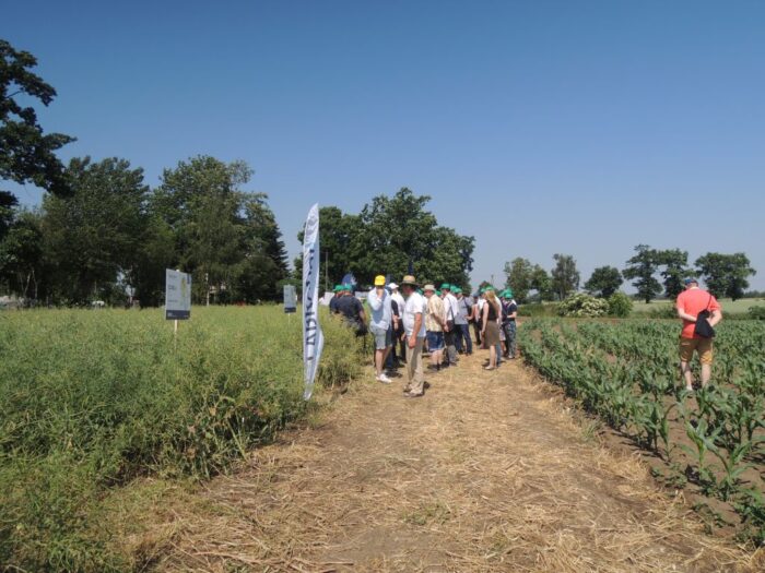 ciech sarzyna, orłowo, nowy dwór gdański, dni pola ciech sarzyna, jacek skwira