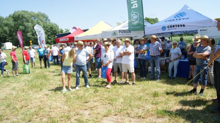 Corteva Agriscience, odmiany rzepaku Pioneer, odchwaszczanie rzepaku, odmiany półkarłowe, Dzień Pola w Mirogonowicach,