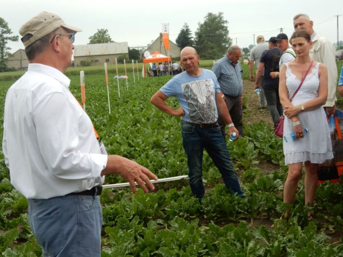 Demo Farma KWS, odmiany buraka cukrowego, Conviso Smart, odmiany rzepaku ozimego, odmiany zbóż, hodowla roślin, KWS