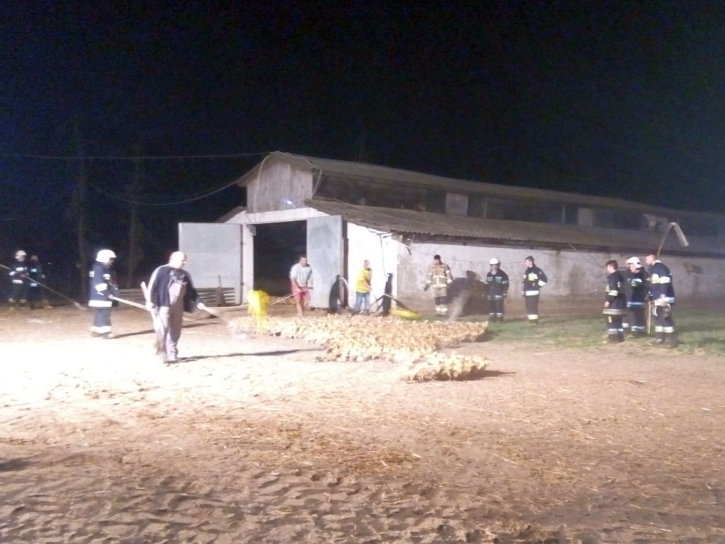 pożary w gospodarstwach, pożar gęśnika, Ogrodniki, powiat hajnowski, Liski, powiat gołdapski