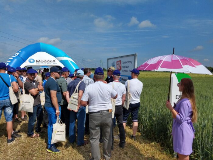 Syngenta, jęczmień mieszańcowy Hyvido, Moddus Flexi, Pola Klasy S, Amistar Gold, nowe odmiany zbóż i rzepaku, Infopole,