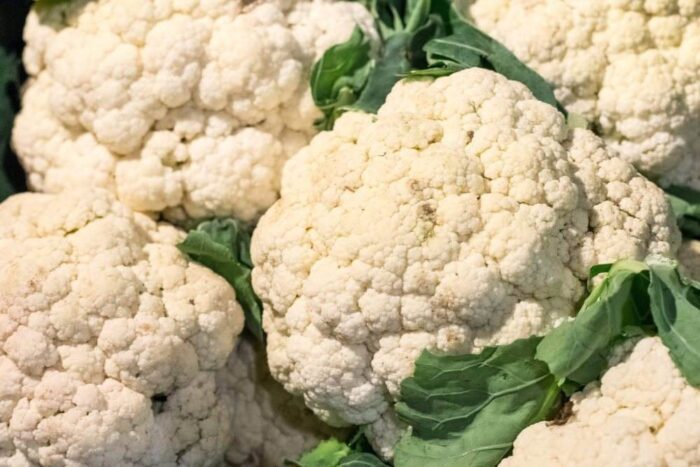 portal internetowy, rolnicy, sadownicy, owoe, warzywa, zbiór owoców, zbiór warzyw