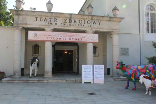 Konferencja Polanica Bydło