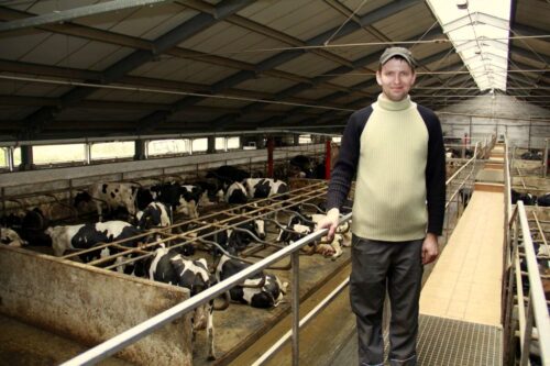 roboty udojowe, bydło mleczne, modernizacja, mleko