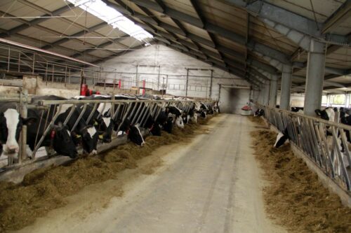 pomoc covidowa, wsparcie dla rolnictwa, arimr, prow 2014-2020