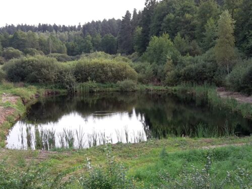 staw, legalizacja stawu, prawo wodne, urządzenia wodne, anna moskwa