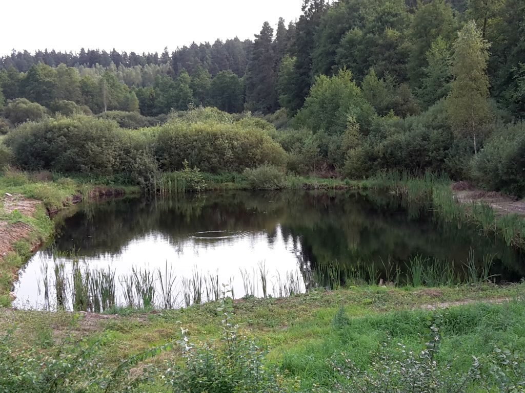 staw, legalizacja stawu, prawo wodne, urządzenia wodne, anna moskwa