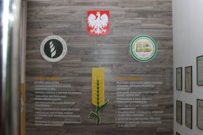 szkoła, edukacja, Hańczowa