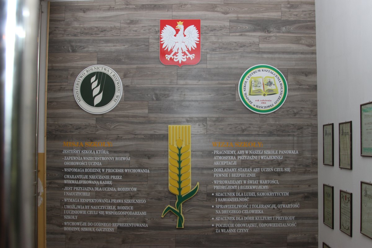 szkoła, edukacja, Hańczowa