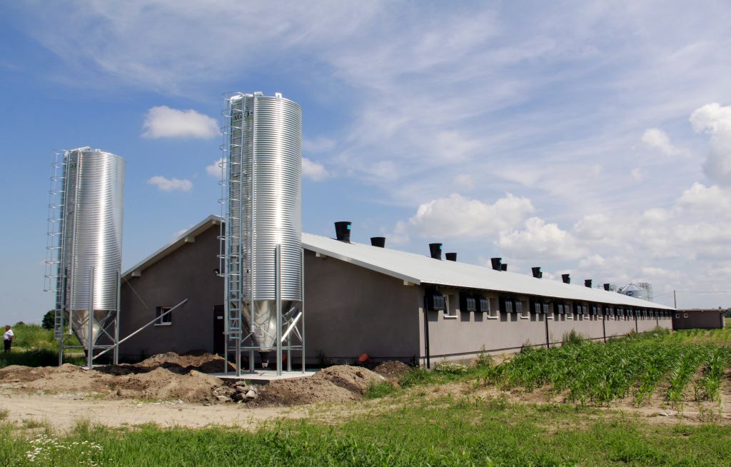 fermy przemysłowe, dobrostan zwierząt, nowoczesne rozwiązania, ochrona środowiska,