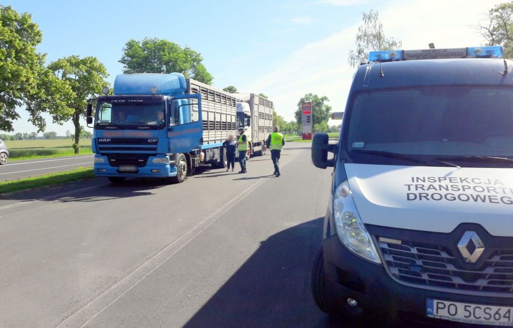 transport zwierząt, przewóz zwierząt, dobrostan zwierząt, Inspekcja Transportu Drogowego , inspekcja weterynaryjna