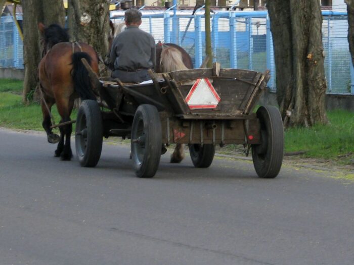 przewóz ziana, wóz konny, upadek z wozu konnego, gmina Goworowo, powiat ostrołęcki, Tomasz Żerański