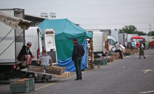 rynek hurtowy w broniszach, bronisze, ceny warzyw, ceny owoców, maciej kmera